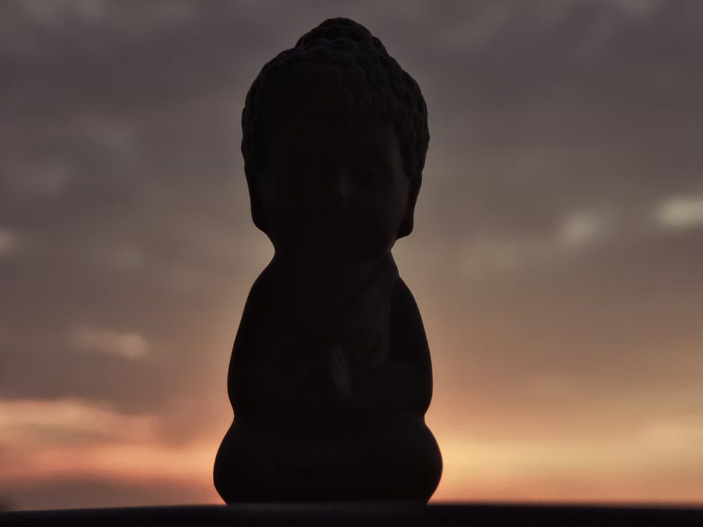 Evolution Empowerment